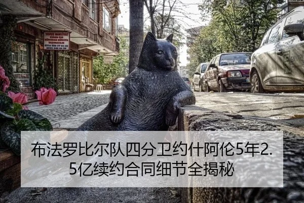 bu-fa-luo-bi-er-dui-si-fen-wei-yue-shen-a-lun-nian-yi-xu-yue-he-tong-xi-jie-quan-jie-mi-3-747.jpg