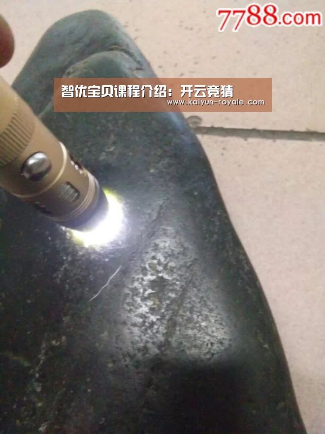 开云赛事