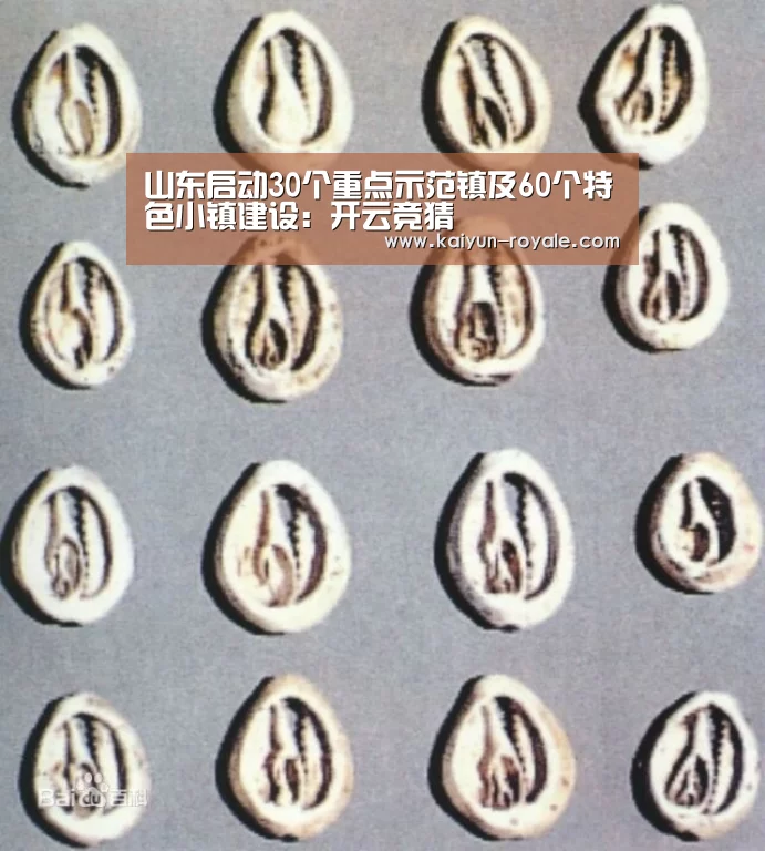 山东启动30个重点示范镇及60个特色小镇建设:开云竞猜(图4) 开云直播